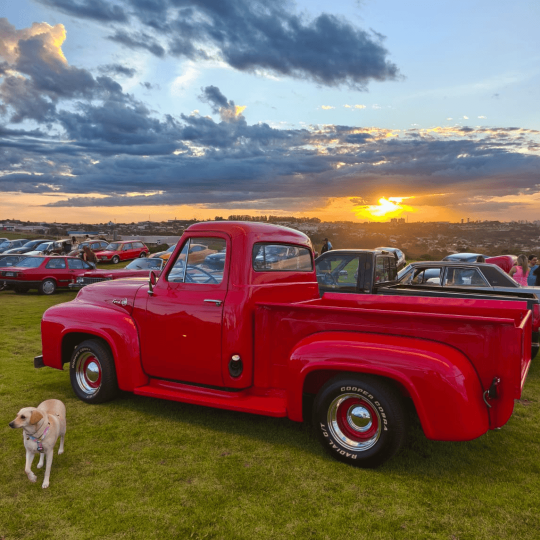Expo carros antigos 